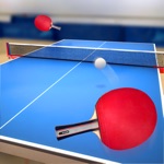 Table Tennis Touch