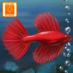 Fish Tycoon